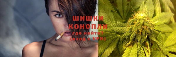 мдпв Волосово