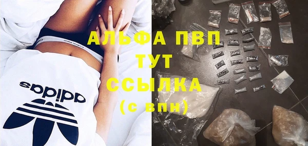 спиды Володарск